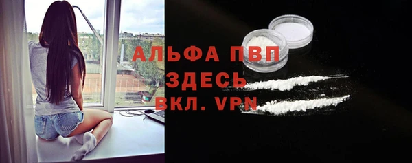винт Верея