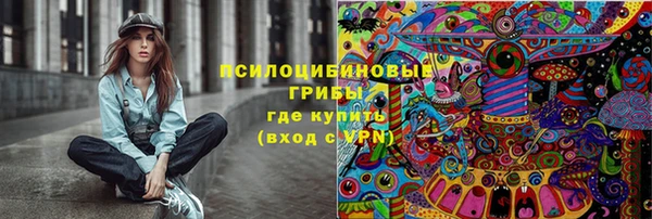 a pvp Бородино