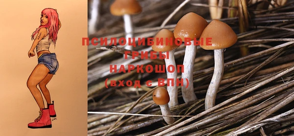 винт Верея