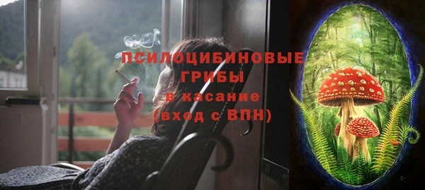 винт Верея