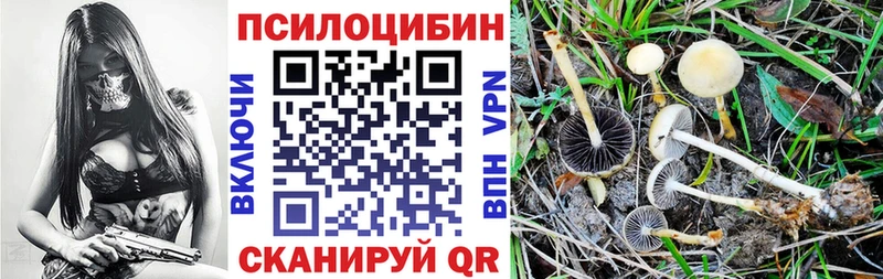 Галлюциногенные грибы GOLDEN TEACHER Карпинск